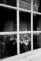 3118_FM_BW_NY_04_3.jpg