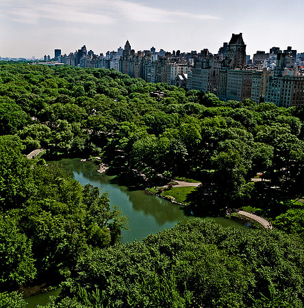 7803_FM_BW_NYC_Central_park_NY_04_6.jpg