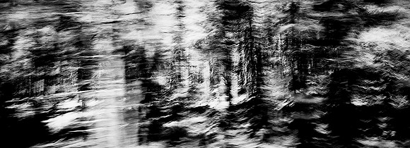 7704_BW_XPAN_ARIZONA_OREGON_NEW_MEXICO_01_19.jpg