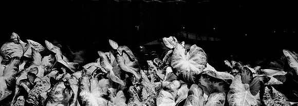 7812_FM_BW_PANORAMIC_NYC_NY_04_13.jpg