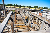 0020_Wyonming_To_Ketchem_Sun_Valley_ID_5L8Y7610