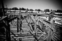 0020_Wyonming_To_Ketchem_Sun_Valley_ID_5L8Y7612