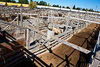 0020_Wyonming_To_Ketchem_Sun_Valley_ID_5L8Y7623