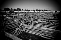 0020_Wyonming_To_Ketchem_Sun_Valley_ID_5L8Y7621