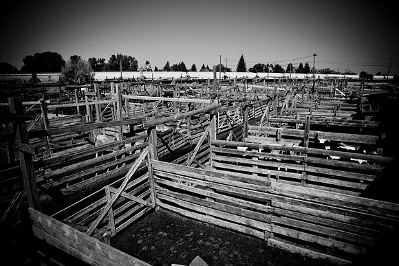 0020_Wyonming_To_Ketchem_Sun_Valley_ID_5L8Y7621
