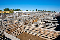 0020_Wyonming_To_Ketchem_Sun_Valley_ID_5L8Y7620