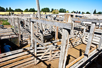 0020_Wyonming_To_Ketchem_Sun_Valley_ID_5L8Y7609
