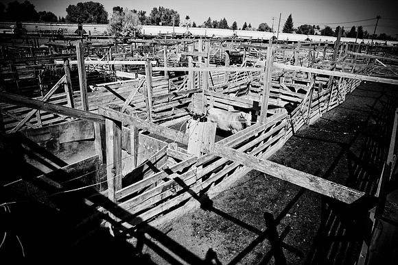 0020_Wyonming_To_Ketchem_Sun_Valley_ID_5L8Y7625