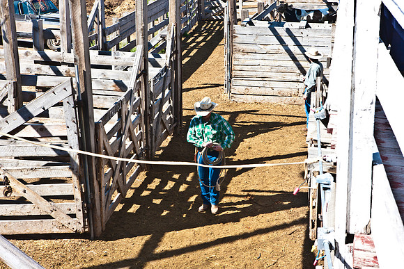 0020_Wyonming_To_Ketchem_Sun_Valley_ID_5L8Y7631