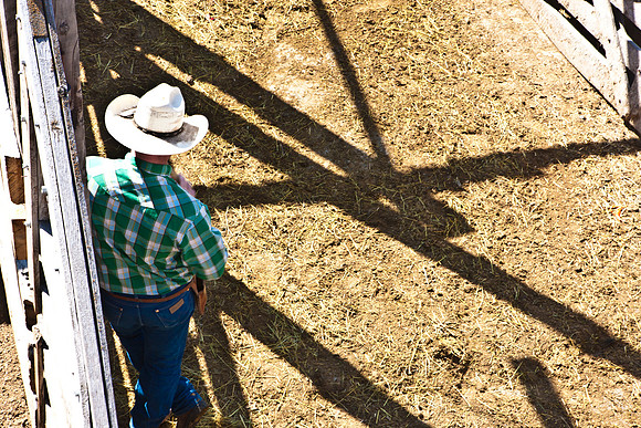 0020_Wyonming_To_Ketchem_Sun_Valley_ID_5L8Y7636