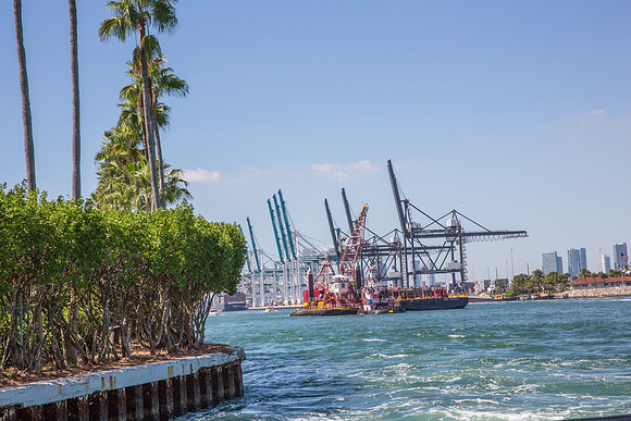 20141018_13_19_43_Miami_Cruise_Line_9C7C5856