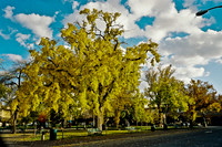 6149_FM_COLOR_SANTA_FE_NEW_MEXICO_05_8.jpg