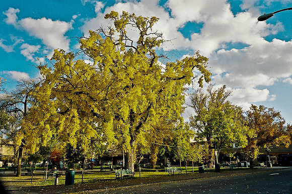 6149_FM_COLOR_SANTA_FE_NEW_MEXICO_05_8.jpg