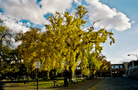 6149_FM_COLOR_SANTA_FE_NEW_MEXICO_05_6.jpg