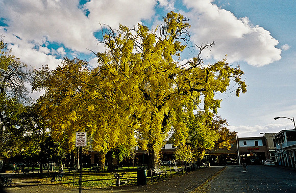 6149_FM_COLOR_SANTA_FE_NEW_MEXICO_05_6.jpg