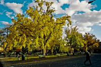 6149_FM_COLOR_SANTA_FE_NEW_MEXICO_05_7.jpg