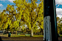 6149_FM_COLOR_SANTA_FE_NEW_MEXICO_05_9.jpg