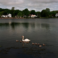 2217_FM_COLOR_NEW-ENGLAND_REGION_02_9.jpg