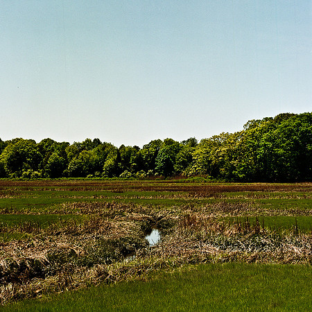 2217_FM_COLOR_NEW-ENGLAND_REGION_02.jpg