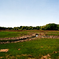 2217_FM_COLOR_NEW-ENGLAND_REGION_02_1.jpg
