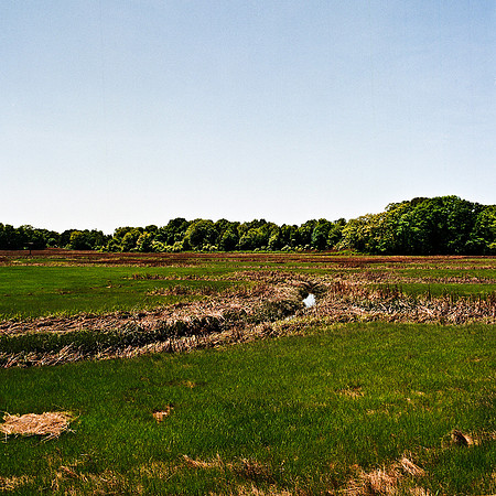2217_FM_COLOR_NEW-ENGLAND_REGION_02_1.jpg