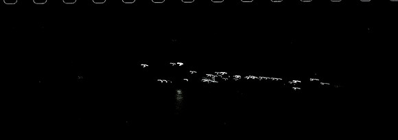 32703_FM_BW_Hotel_Room_NY_03 _1.JPG