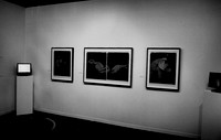 28304_FM_BW_POLYPTYCH_NYC_NY_03_17.jpg