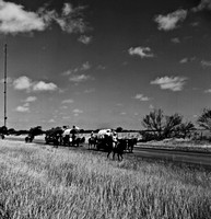 2270_FL_BW_NM_02_3.jpg
