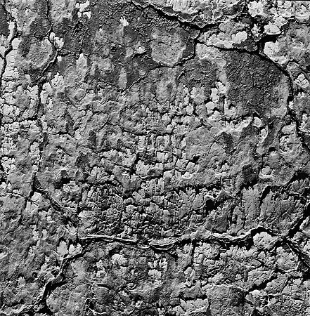 2278_FM_BW_NM_02_1.jpg