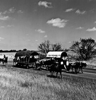 2270_FL_BW_NM_02_4.jpg