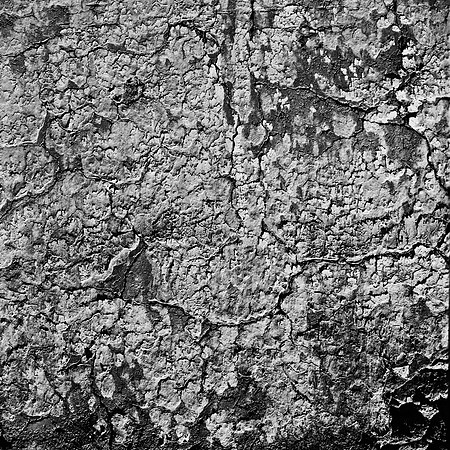 2277_FM_BW_NM_02_6.jpg