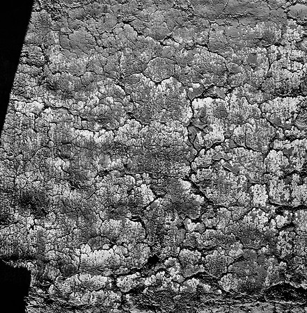 2278_FM_BW_NM_02.jpg