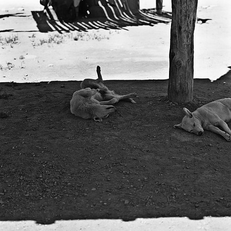 2277_FM_BW_NM_02_1.jpg