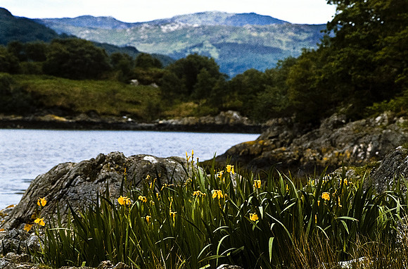 37563_SL_COLOR_BOX_II_INVERARY_CASTLE_SCOTLAND_1997_2