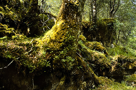 37564_SL_COLOR_BOX_II_INVERARY_CASTLE_SCOTLAND_1997