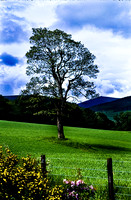 37591_SL_COLOR_BOX_II_MAILOCK_SCOTLAND_1997_1