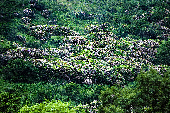 37555_SL_COLOR_BOX_II_CLENLUSET_TO_GIRUAN_SCOTLAND_1997_5