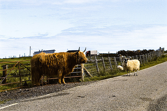 37571_SL_COLOR_BOX_II_MAILOCK_SCOTLAND_1997_1