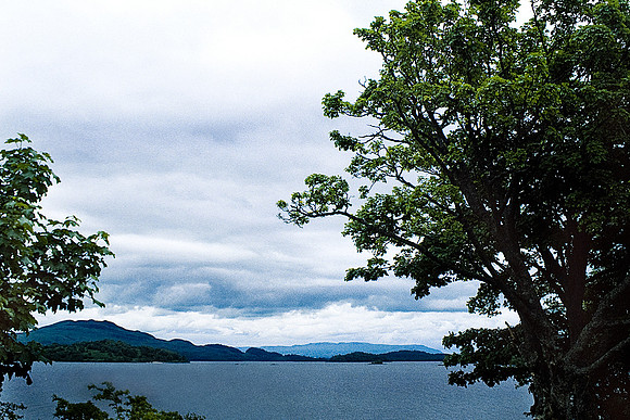 37556_SL_COLOR_BOX_II_LACKLOMAN_SCOTLAND_1997_4