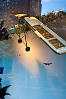 3882_DG_New_York_City_Bergdorf Goodman_ZV4N1078