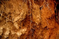 36264_DG_Color_North_America_Ixtapa_MexicoZV4N4854
