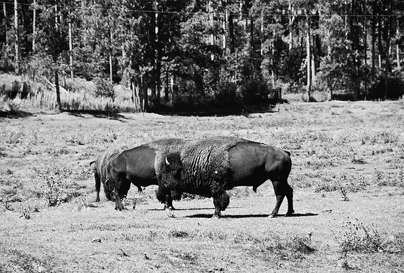 7545_FM_BW_SOUTH_DAKOTA_01_22.jpg