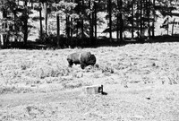7545_FM_BW_SOUTH_DAKOTA_01_1.jpg