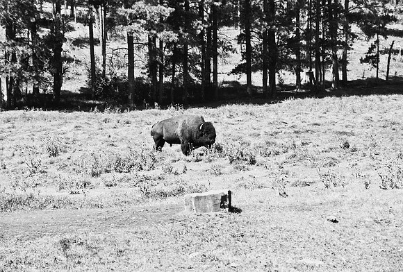 7545_FM_BW_SOUTH_DAKOTA_01_1.jpg