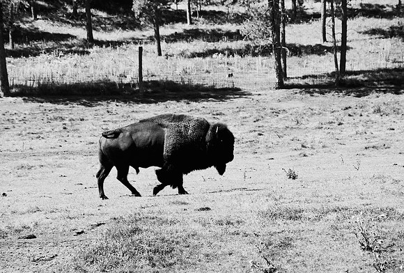 7545_FM_BW_SOUTH_DAKOTA_01_3.jpg