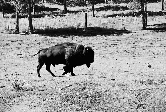 7545_FM_BW_SOUTH_DAKOTA_01_4.jpg
