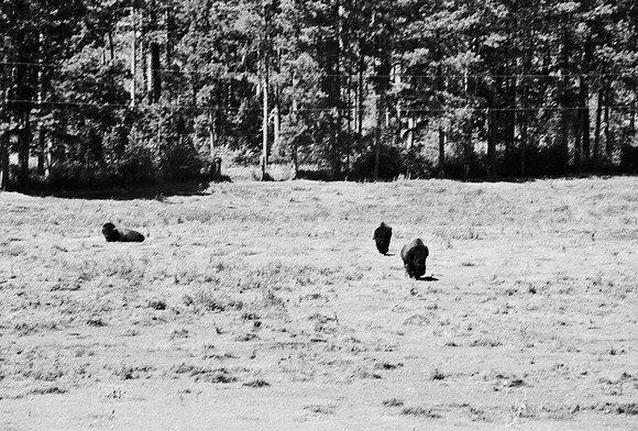 7545_FM_BW_SOUTH_DAKOTA_01_5.jpg