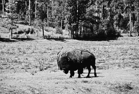 7545_FM_BW_SOUTH_DAKOTA_01_21.jpg