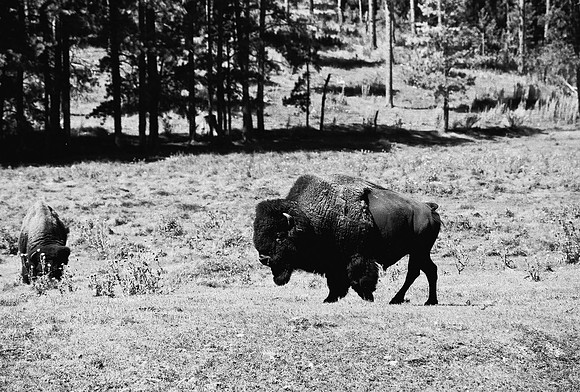 7545_FM_BW_SOUTH_DAKOTA_01_23.jpg