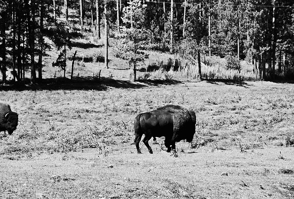 7545_FM_BW_SOUTH_DAKOTA_01_6.jpg